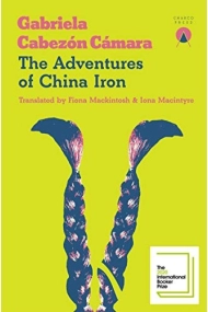 Cover of The Adventures of China Iron